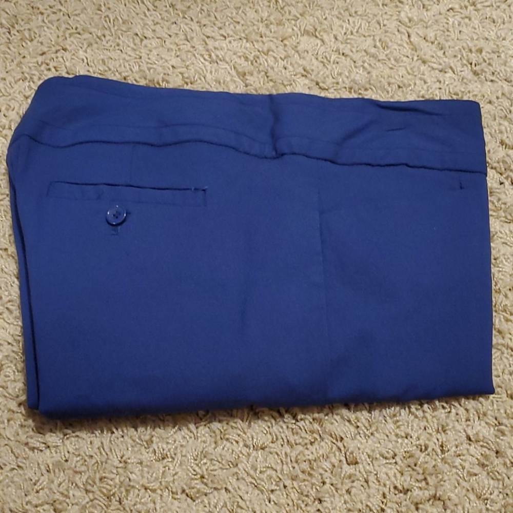 Limited exact stretch ankle pants